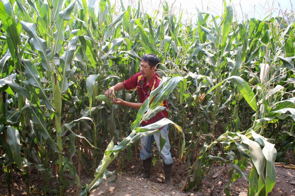 Ridding the agriculture industry of its stereotypes